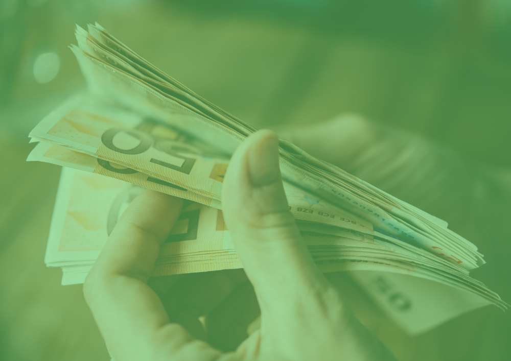 presupuesto-50-30-20